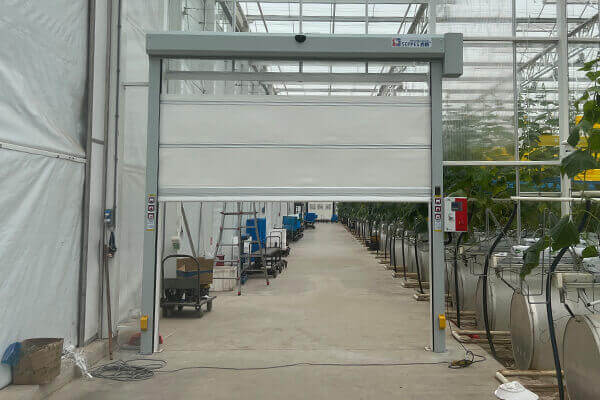 1750843790158057.jpg 18.jpg