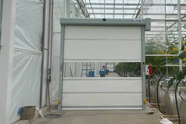 1750843843877050.jpg 17.jpg