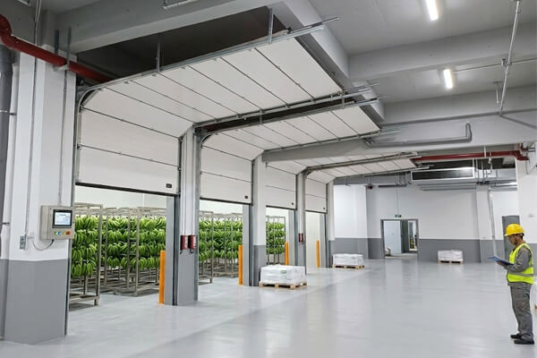 出口新西兰的催熟室提升门 出口新西兰的催熟室提升门