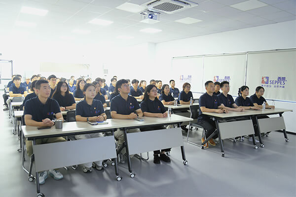 上图为：西朗门业董事长杨元嘉带领全体员工观看阅兵仪式