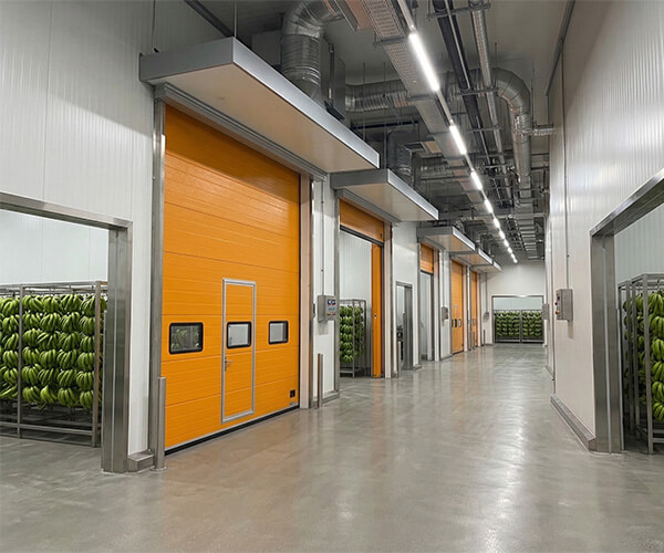 出口香蕉催熟室的工业提升门